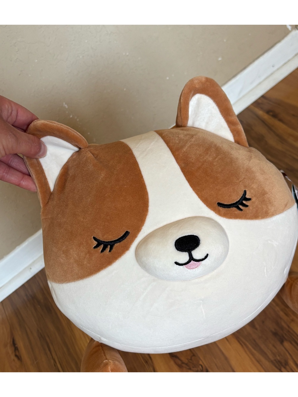 Squishmallow Cute Brown & Cream  Plush Corgi Dog named Regina - Picture 3 of 6